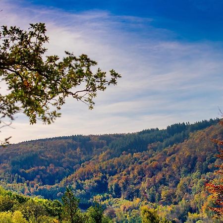 Le Chalet Vresse-sur-Semois Exteriér fotografie