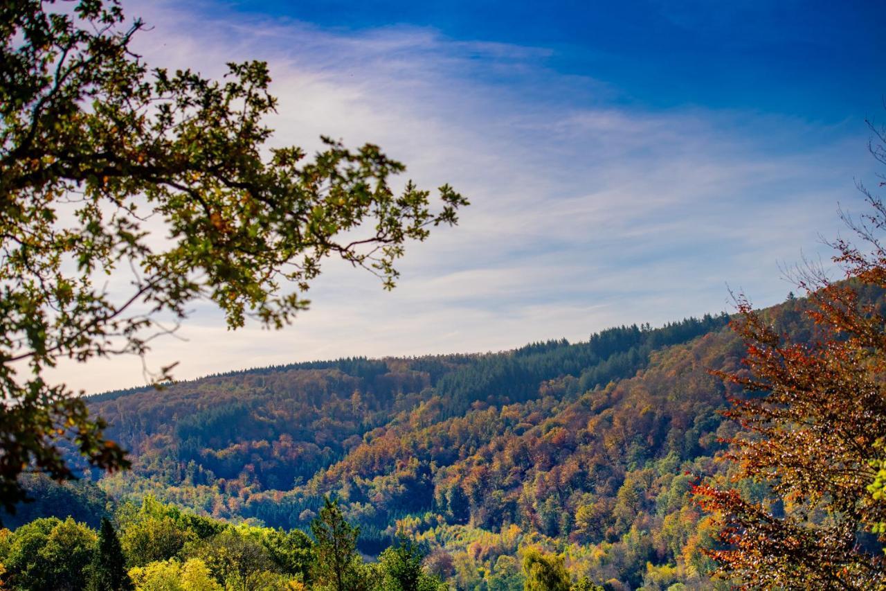 Le Chalet Vresse-sur-Semois Exteriér fotografie